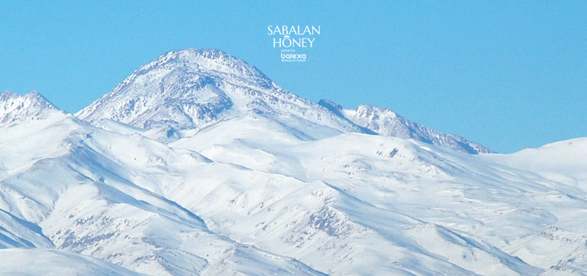 sabalan mountain honey