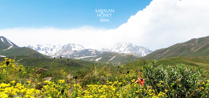 sabalan mountain, کوه سبلان