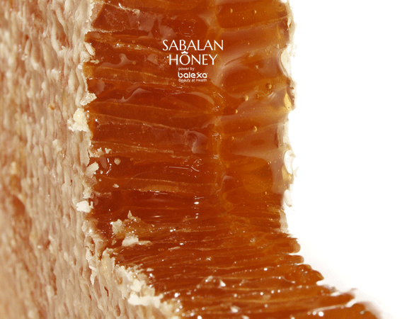 natural honey - عسل طبیعی